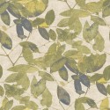 Herbarium 1173-5790 Papel Saint Honoré