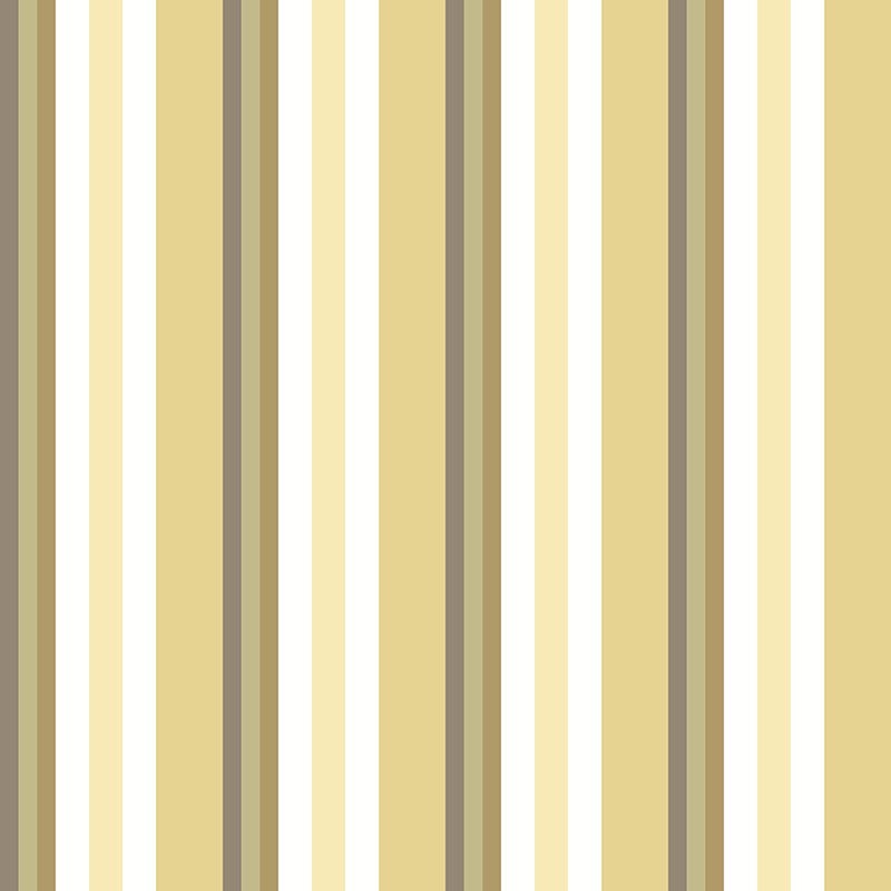 Compendium of Stripes CS.OD.08