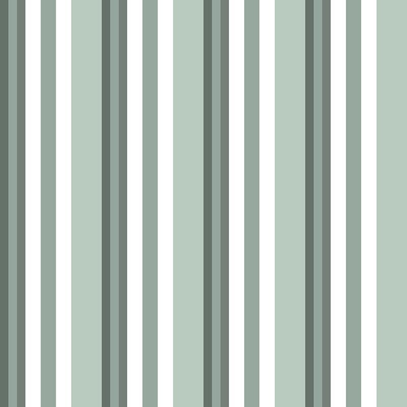 Compendium of Stripes CS.OD.06