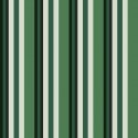 Compendium of Stripes CS.OD.09 Papel