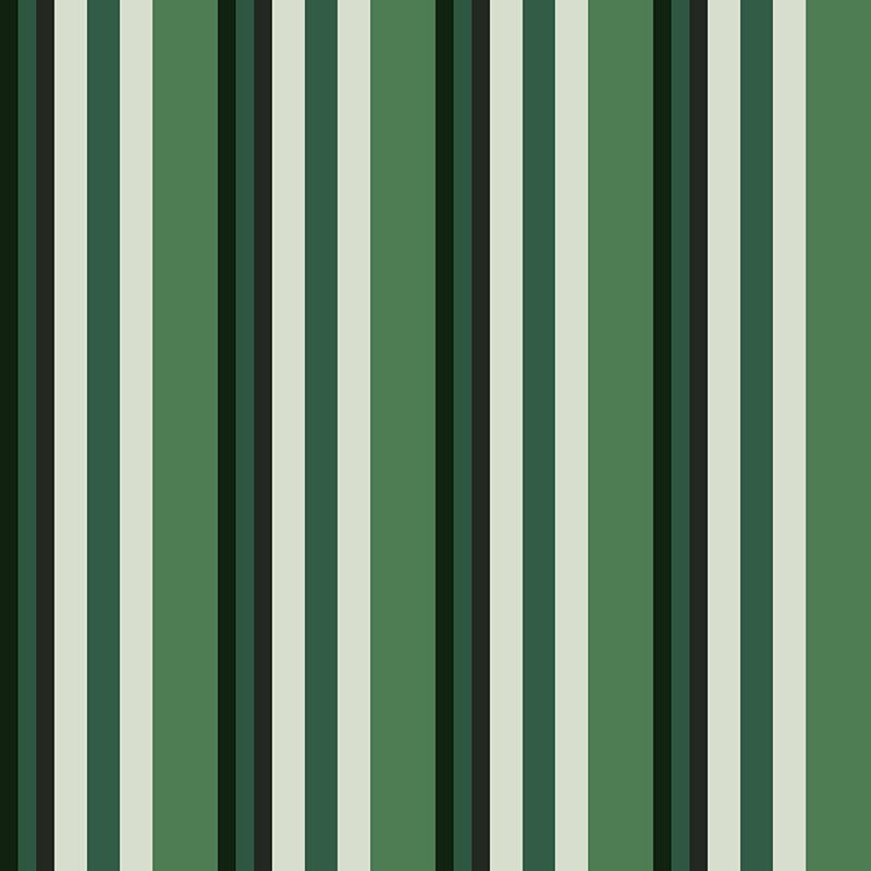 Compendium of Stripes CS.OD.09