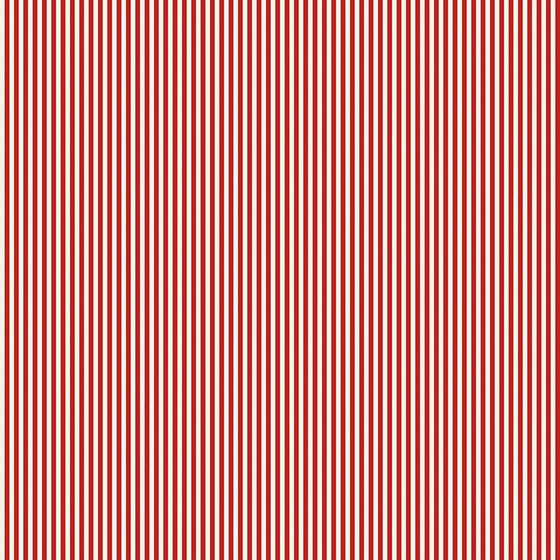 Compendium of Stripes CS.CH.05
