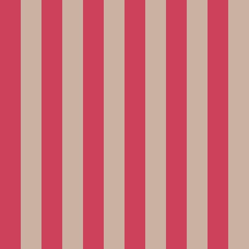Compendium of Stripes CS.RI.010