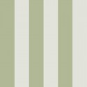 Compendium of Stripes CS.BR.02 Papel