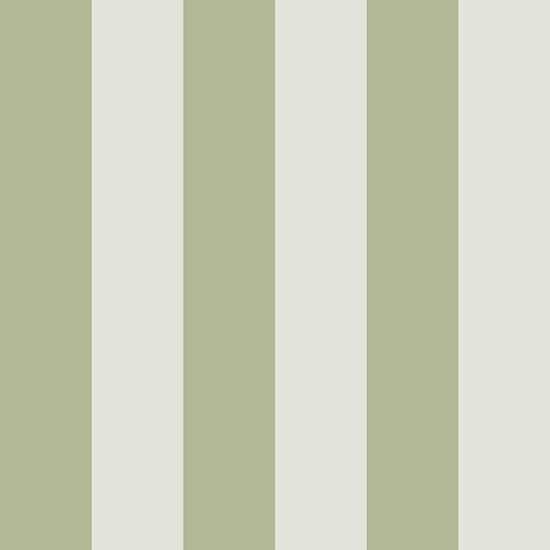 Compendium of Stripes CS.BR.02
