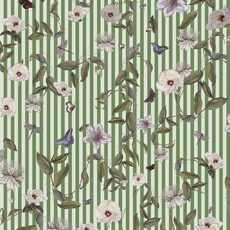 Compendium of Stripes CS.GI.02