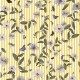 Compendium of Stripes CS.GI.04
