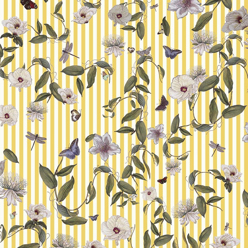 Compendium of Stripes CS.GI.04