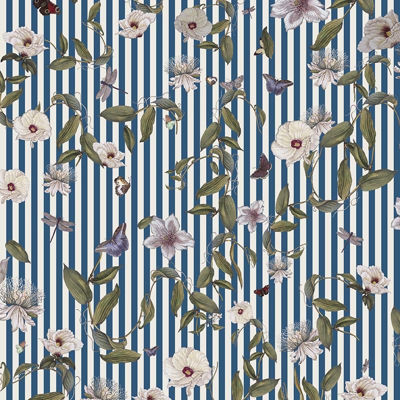 Compendium of Stripes CS.GI.01