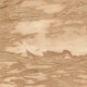 Papel pintado Roberto Cavalli nº 9 RC21029