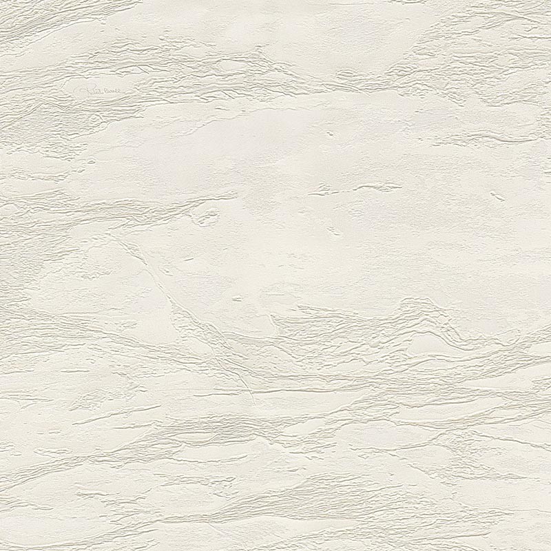 Papel pintado Roberto Cavalli nº 9 RC21025