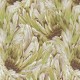 Papel pintado Roberto Cavalli nº 9 RC21008