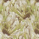 Roberto Cavalli nº 9 RC21008 Papel pintado
