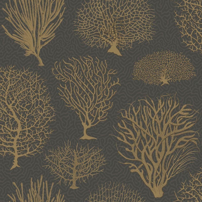 Papel Pintado Cole & Son Curio 107-2006