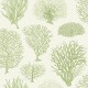 Papel Pintado Cole & Son Curio 107-2008