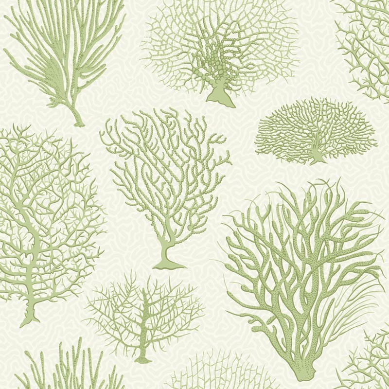 Papel Pintado Cole & Son Curio 107-2008