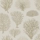 Papel Pintado Cole & Son Curio 107-2010