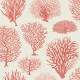 Papel Pintado Cole & Son Curio 107-2011