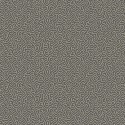 Papel Pintado Curio 107-4017