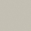 Papel Pintado Curio 107-4019