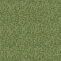 Papel Pintado Curio 107-4022