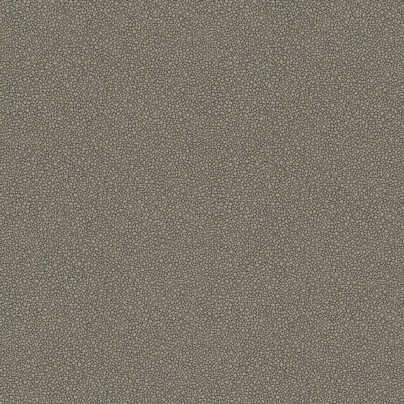 Papel Pintado Cole & Son Curio 107-9043