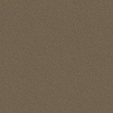 Papel Pintado Curio 107-9044