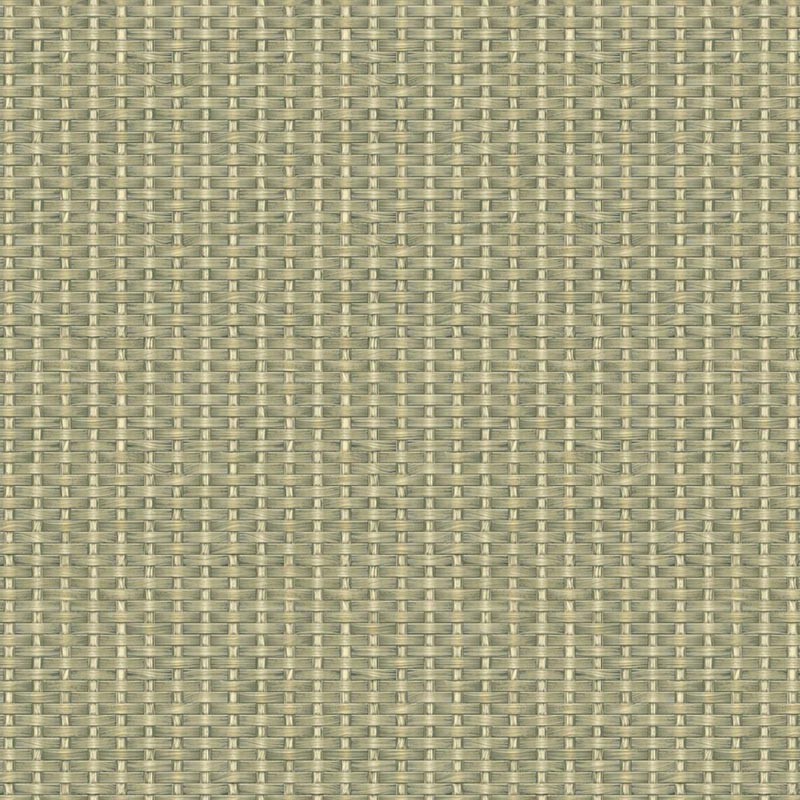 Papel pintado Coordonne Berber Kuba Raffia Leaves B00445_B