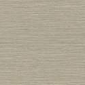 Pampas Matiz 73530 Arte Papel pintado
