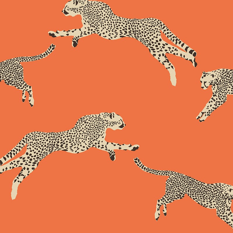 Papel Pintado Jannelli & Volpi Scalamandré Leaping Cheetah 26017