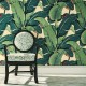 Papel Pintado Jannelli & Volpi Scalamandré Hinson Palm 26010
