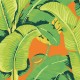 Papel Pintado Jannelli & Volpi Scalamandré Hinson Palm 26012