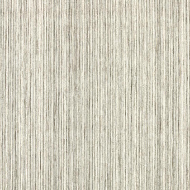 Papel pintado Clarke & Clarke Expressions Aster Putty W0205-04