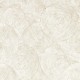 Papel pintado Clarke & Clarke Expressions Silvan Gilver W0209-02