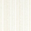Expressions Striatus W0211/03 Papel Clarke & Clarke