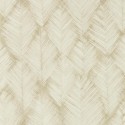 Expressions Folius W0206/05 Papel Clarke & Clarke