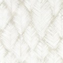 Expressions Folius W0206/02 Papel Clarke & Clarke
