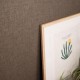 Papel pintado Caselio Balade Unis BLD100609020