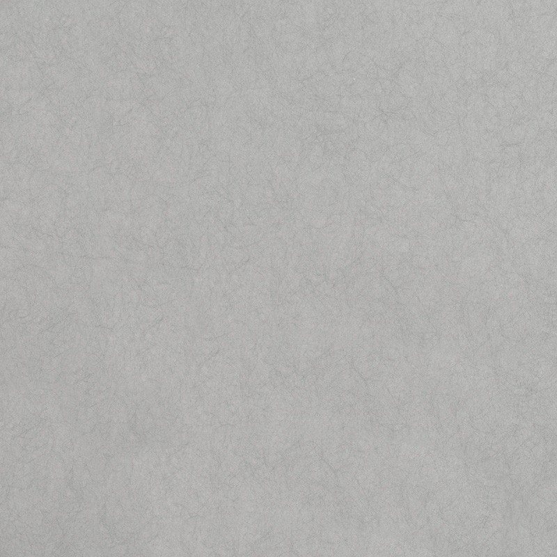 Papel Pintado Romo Lomasi W399-06