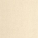 Matieres Raphia MMT 10597 11 50 Papel Caselio