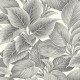 Papel pintado Wallquest  Paper & Ink Shades of White WS70318