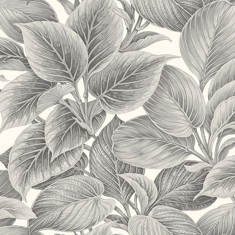Papel pintado Wallquest  Paper & Ink Shades of White WS70318