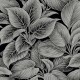 Papel pintado Wallquest  Paper & Ink Shades of White WS70300
