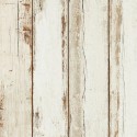 Woods  Wallpaper 01368931 Papel pdwall