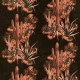 Papel pintado Coordonné Rest Time Grand Canyon Black A00903_V