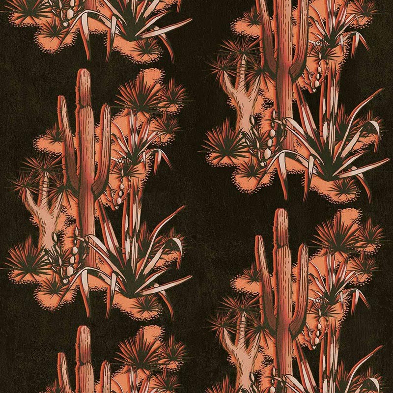 Papel pintado Coordonné Rest Time Grand Canyon Black A00903_V