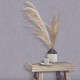 Papel pintado Saint Honoré Gentle Light 1265-6364