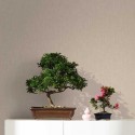 Forest FORE37 Papel pintado Parati