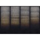 Mural Coordonne Shibori Hoshi Ash B00959