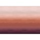 Mural Coordonne Shibori Hinode Prune B00954